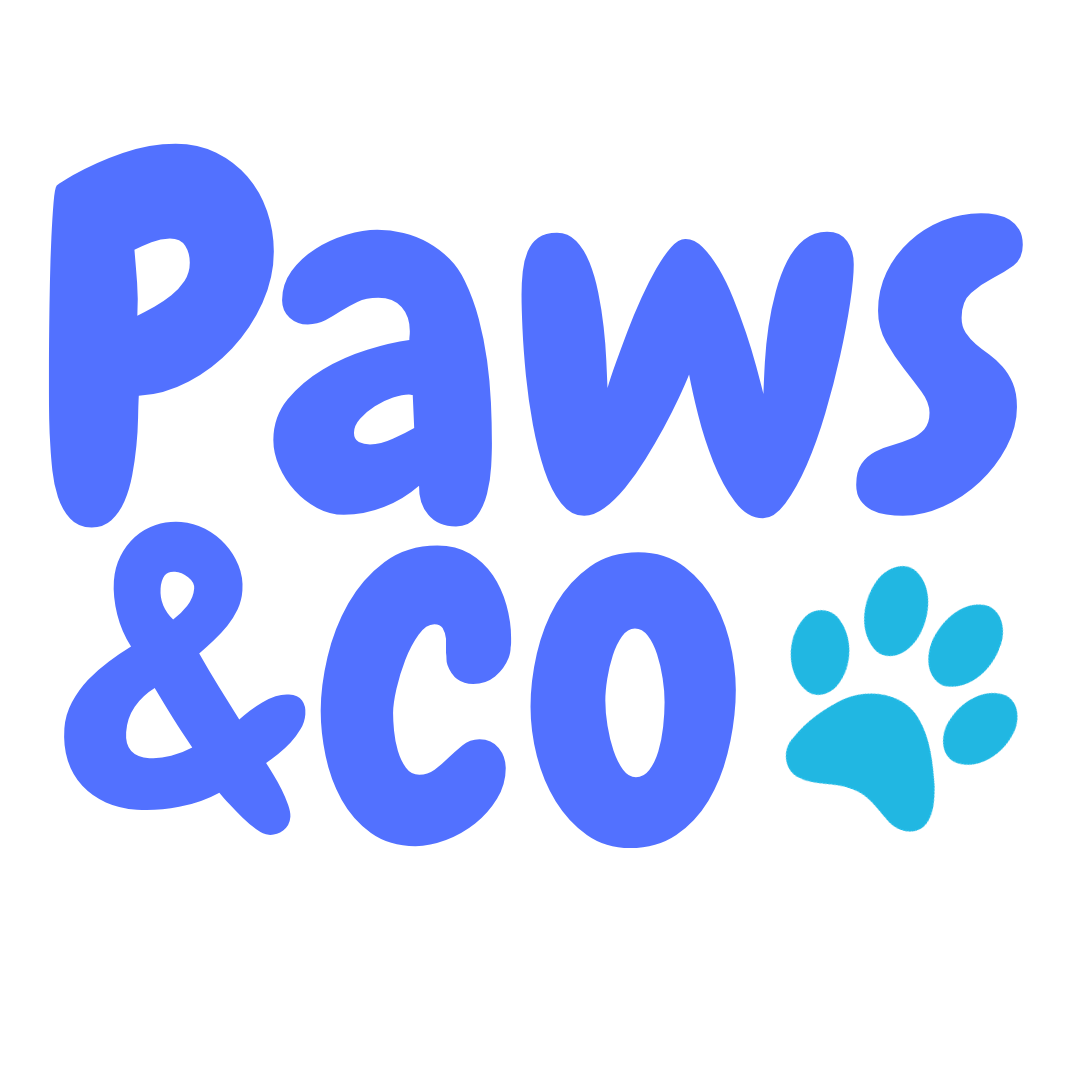 Logo Client site web